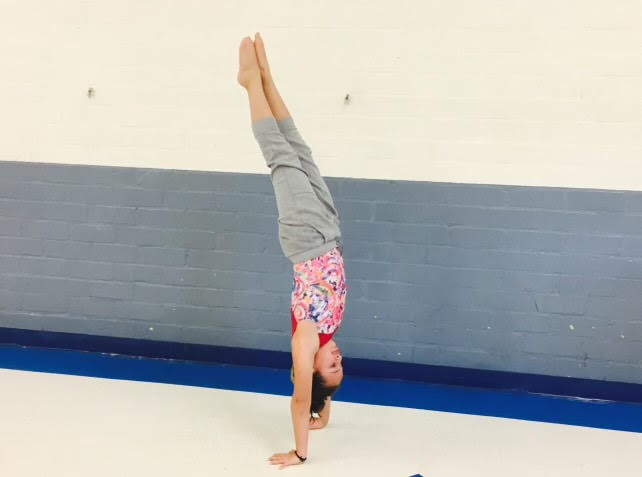 Discovering the joy in gymnastics